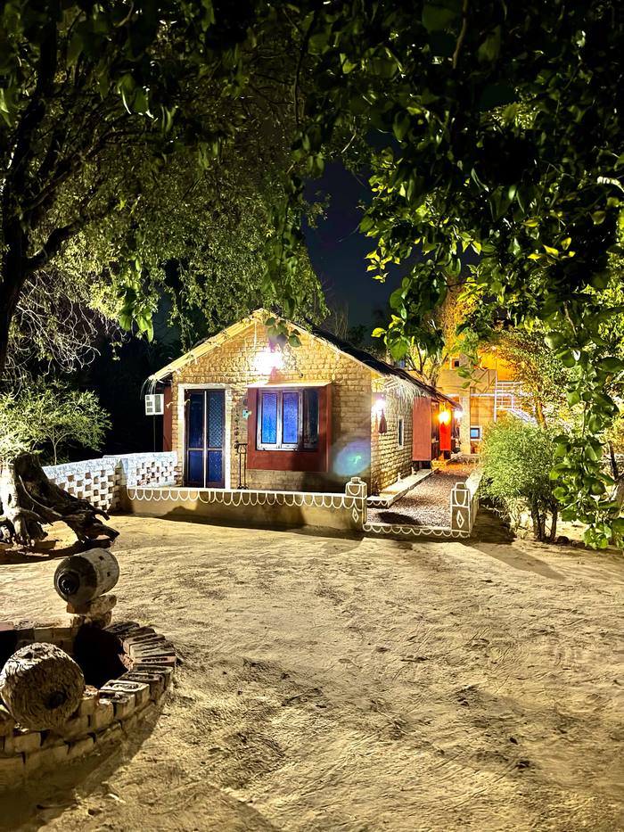 Cottage glowing at night under trees