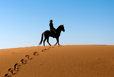 vinayak desert safari bikaner